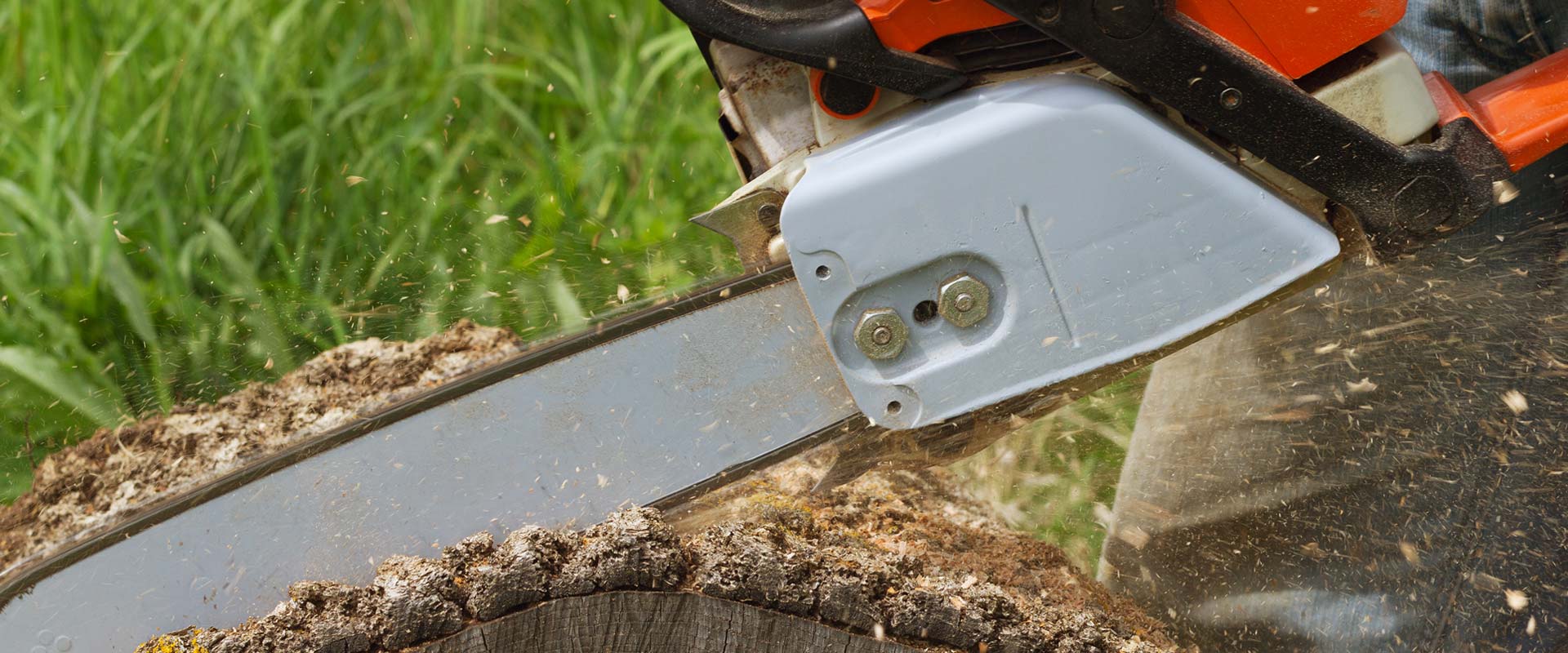 Able Landscaping and Tree Care gallery 9